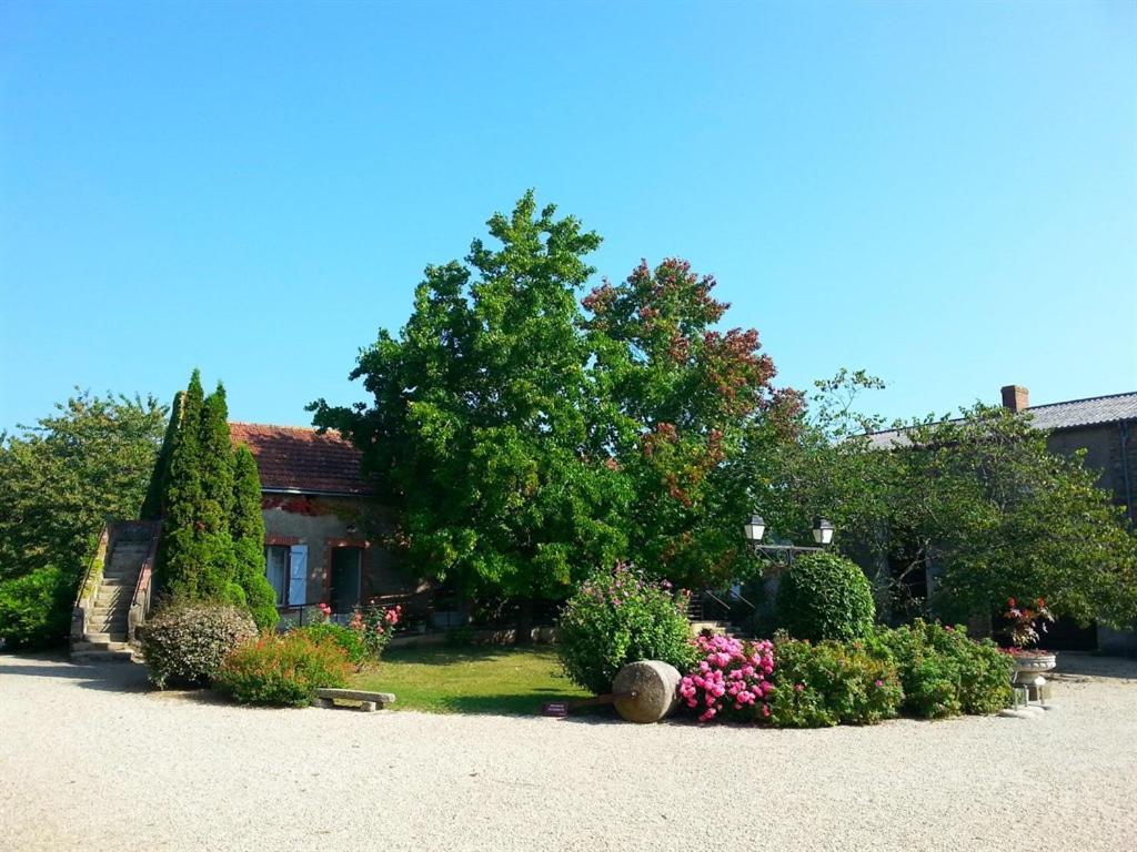 Chateau De La Galissonniere Bed & Breakfast Le Pallet Eksteriør bilde